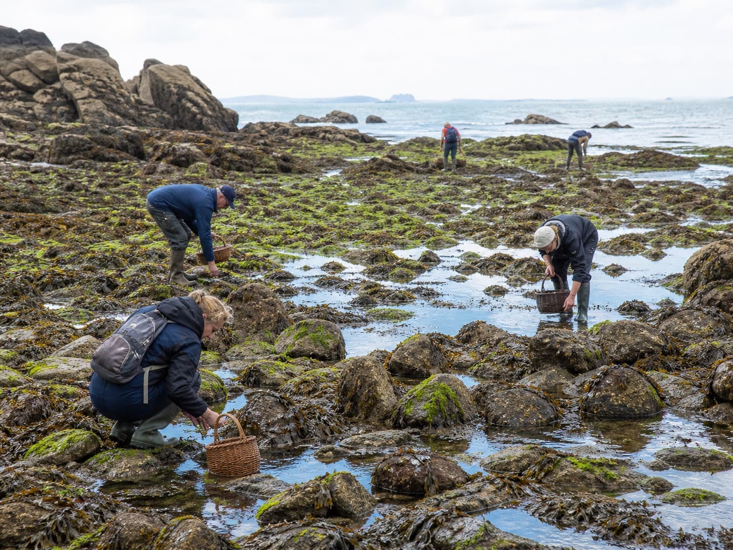 Pêche à pied responsable pendant les grandes marées